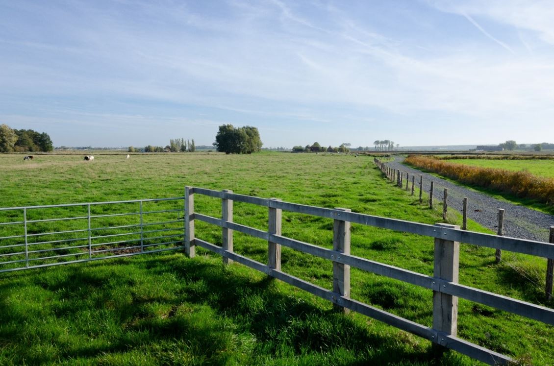 Insteekweg Oostkerkestraat