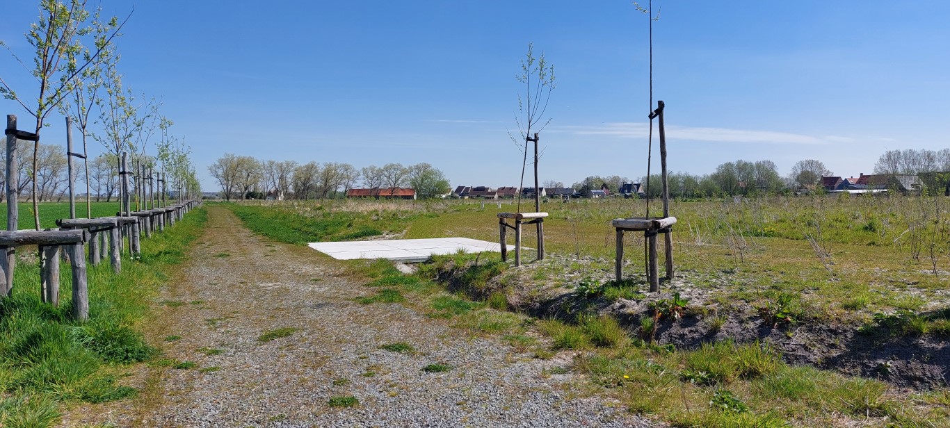 Wandelpad aan de boszone