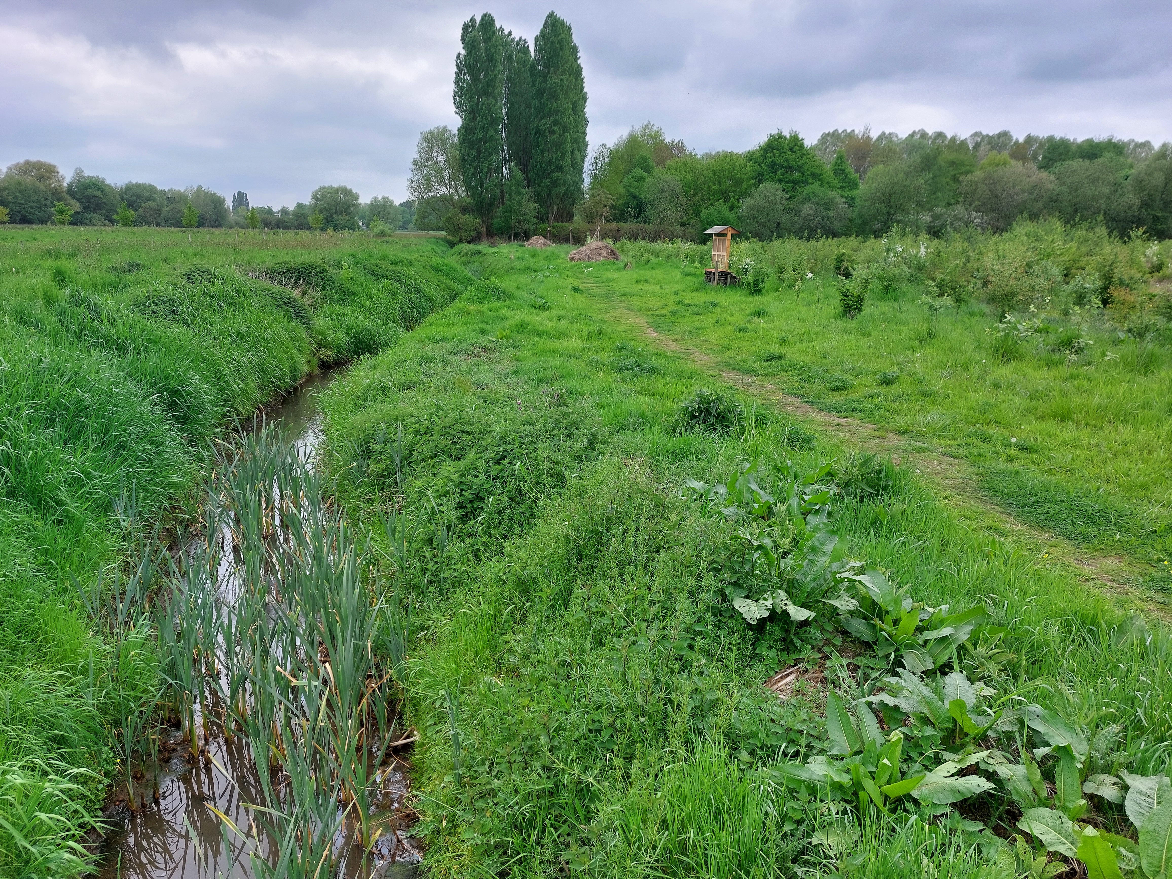 Groene omgeving in de Antwerpse Zuidrand met een bijenhotel.