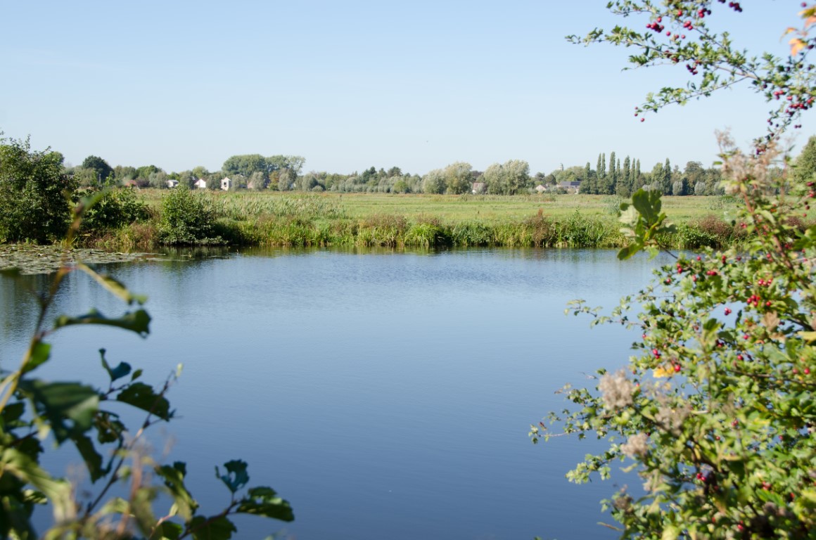 zicht op de Oude Leie