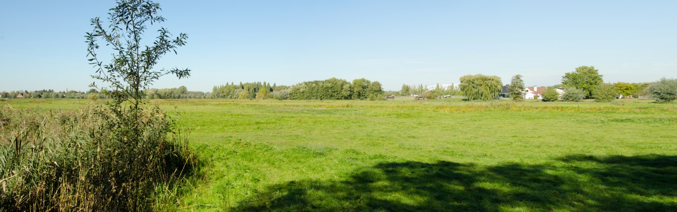 Sfeerbeeld van het open meers