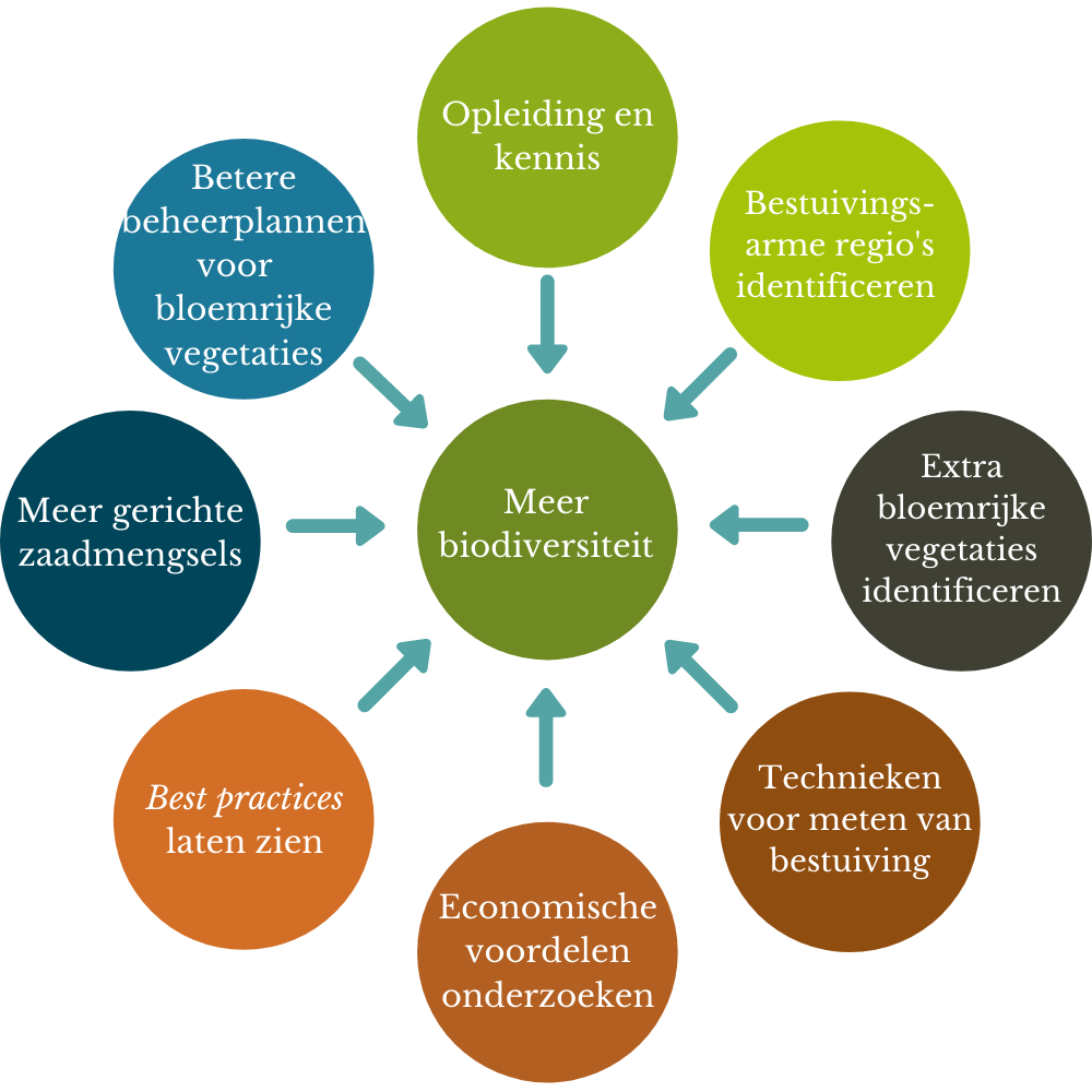 Schema van werking beespoke