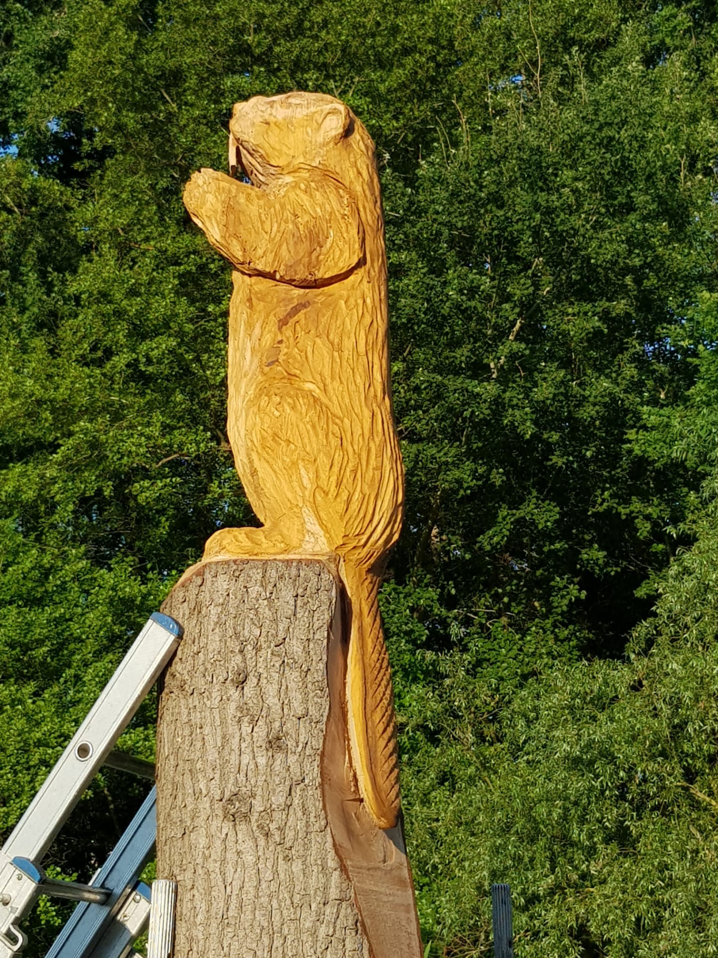 woodcarver maakt bever in boomstam