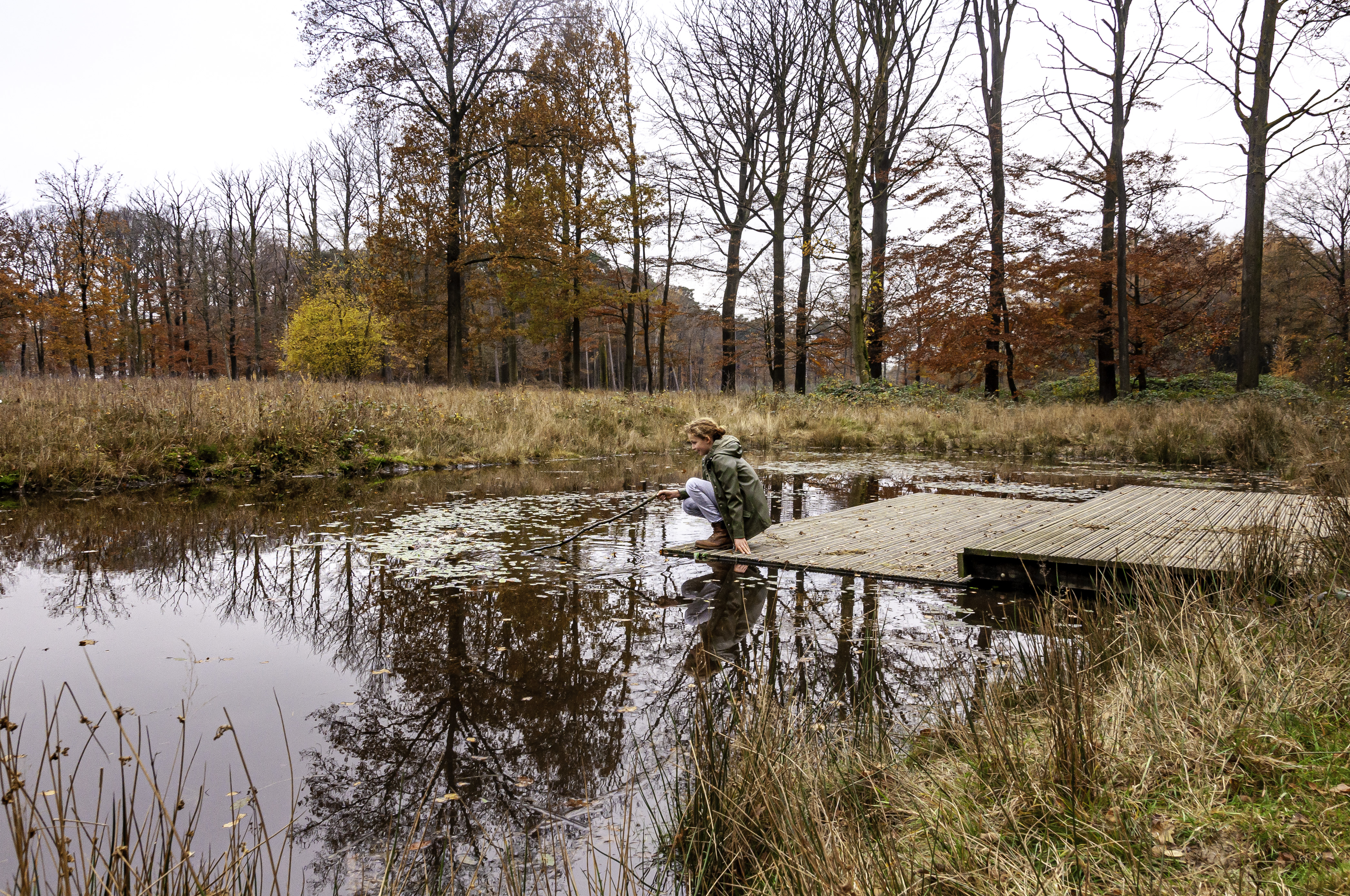 kijken naar het waterleven van op de vlonder