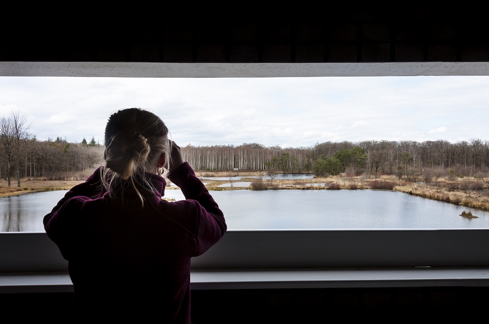 zicht op de Aanwijsputten van op de uitkijktoren