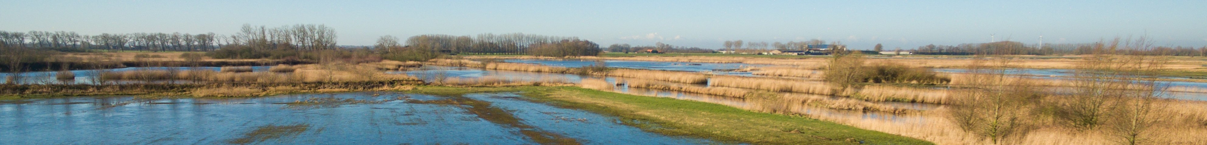 landschap de Blankaart vernat veengebied