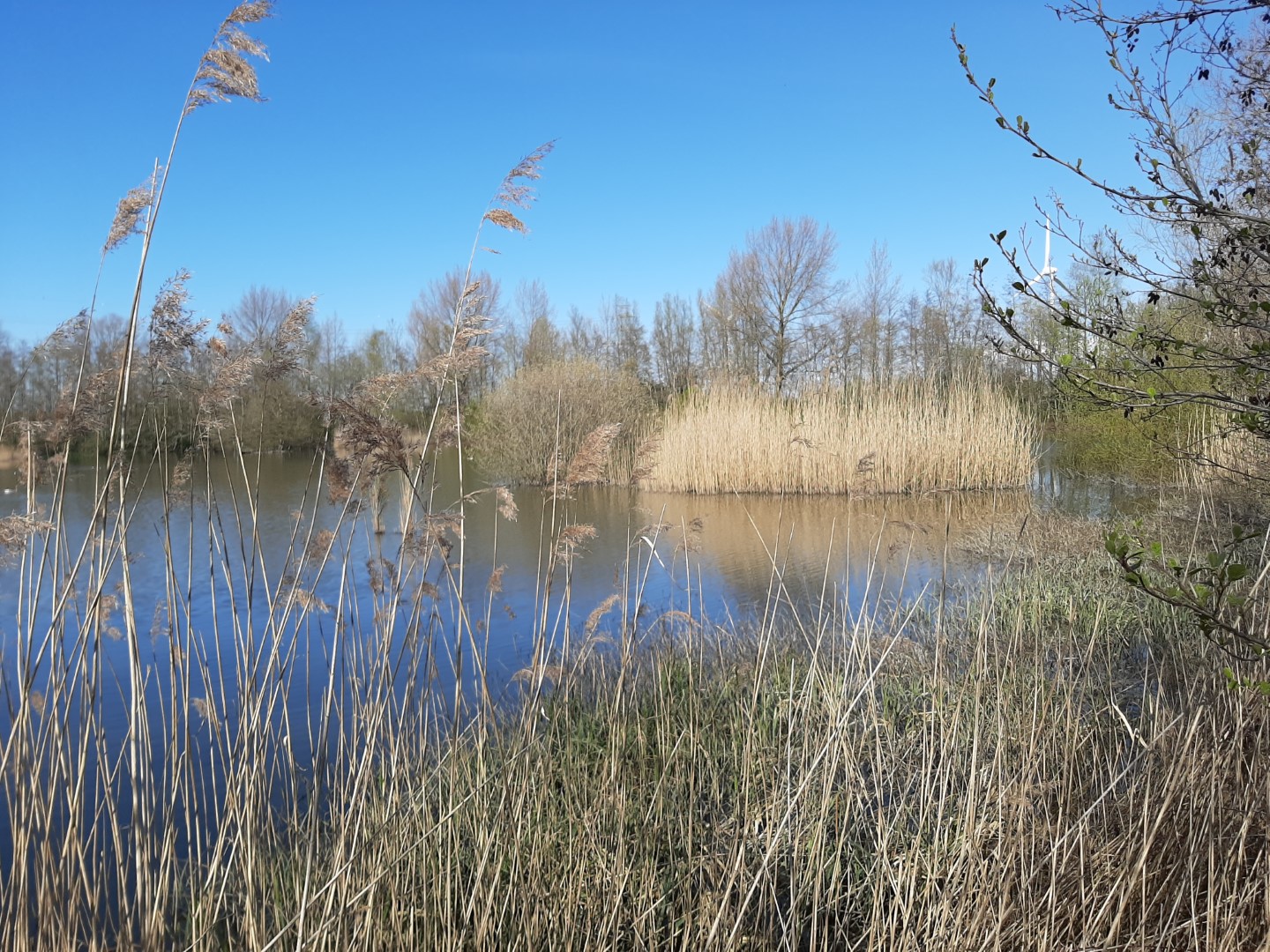 Parkbegraafplaats Blauwe Toren 