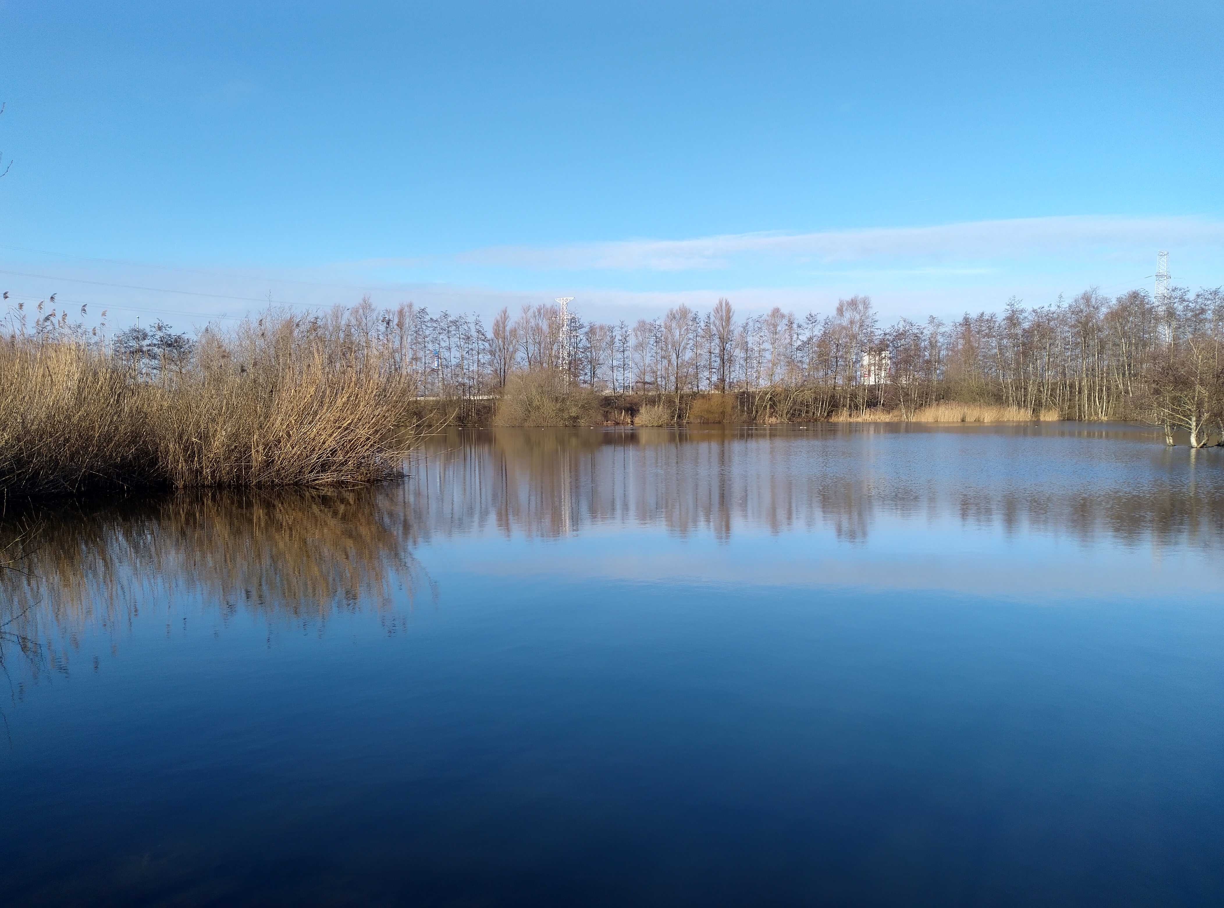 Parkbegraafplaats Blauwe Toren 