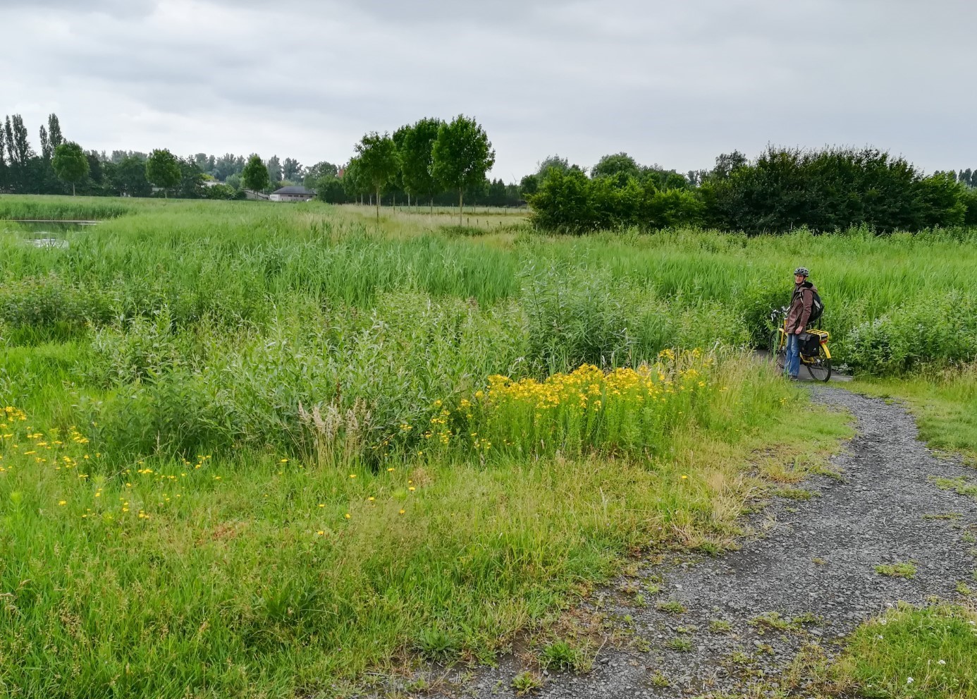 Natuurzone in Desteldonk-Noord