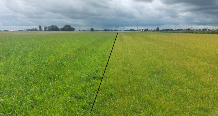 verschil kruidenrijk kruidenarm