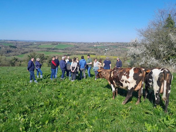 terreinbezoek groep in het veld tussen de koeien