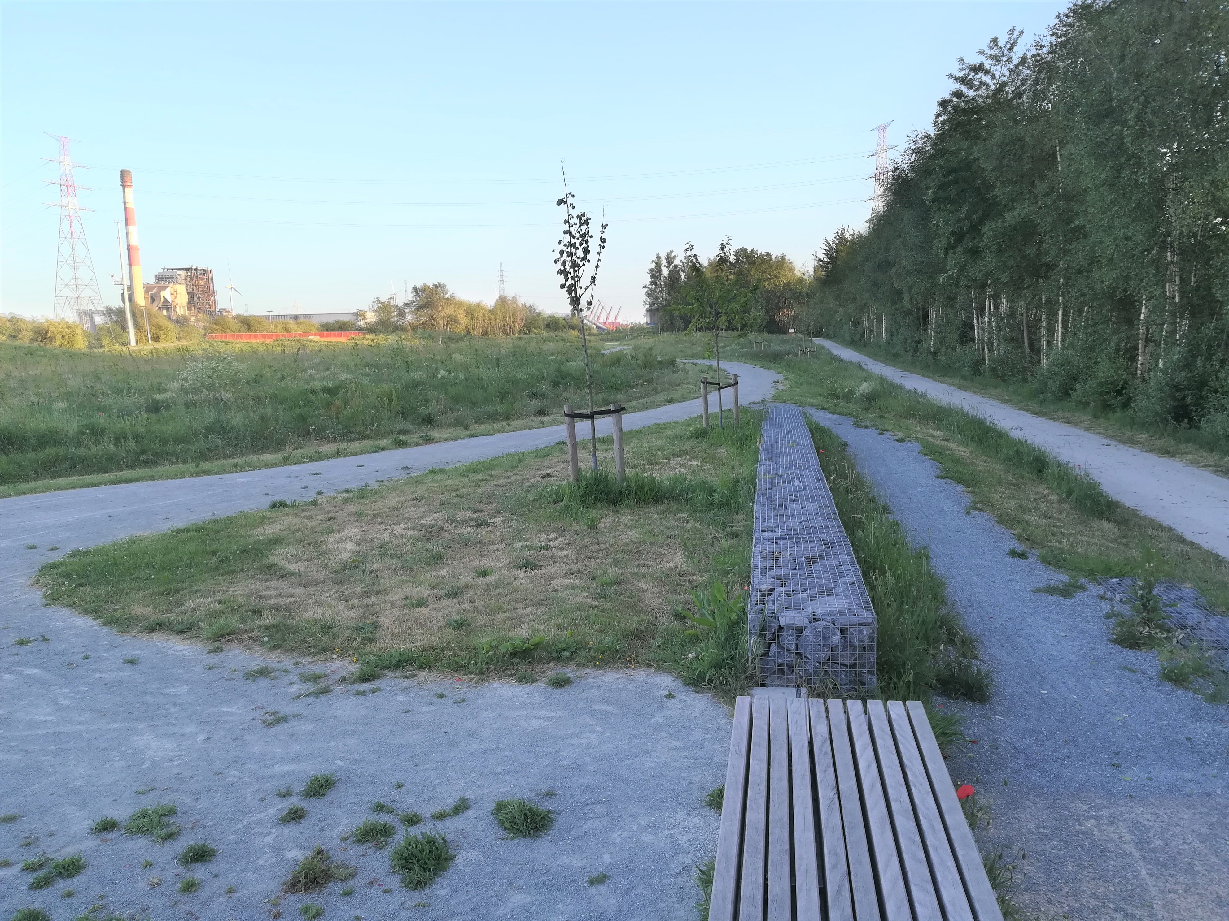 fietsen langs en wandelen in het park