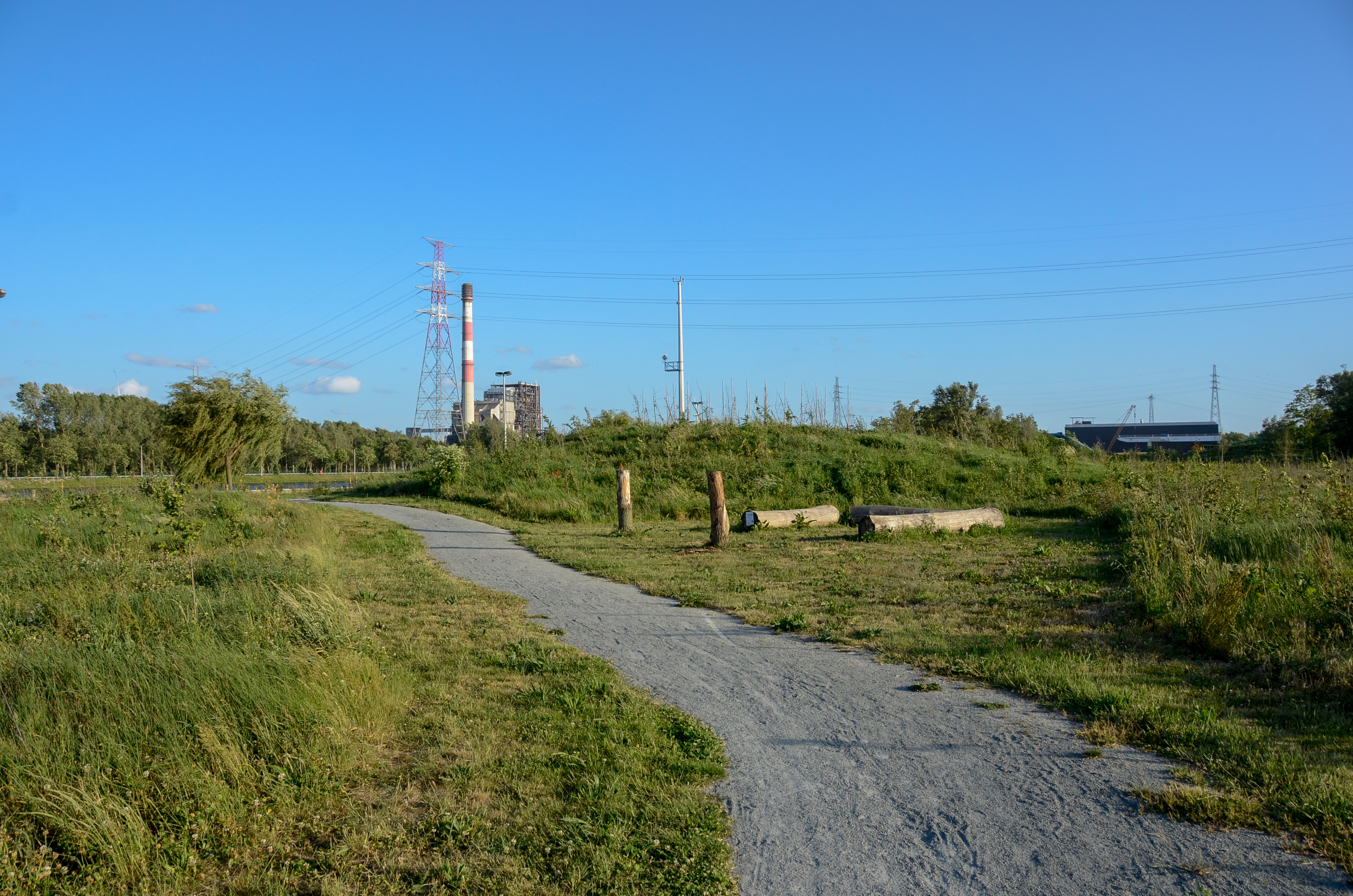 avondzon in het park