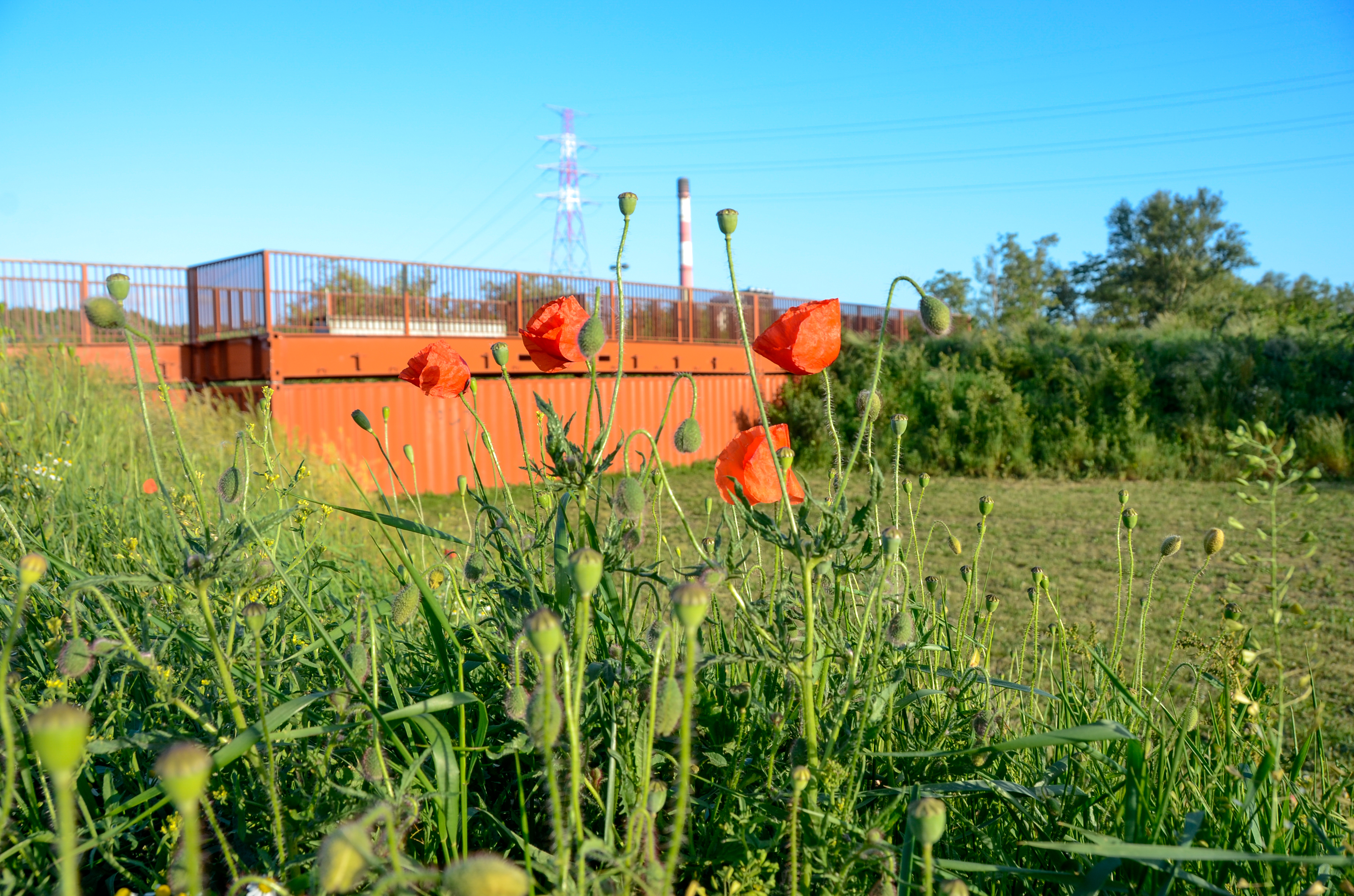 container als uitkijk naar de industrie en het park