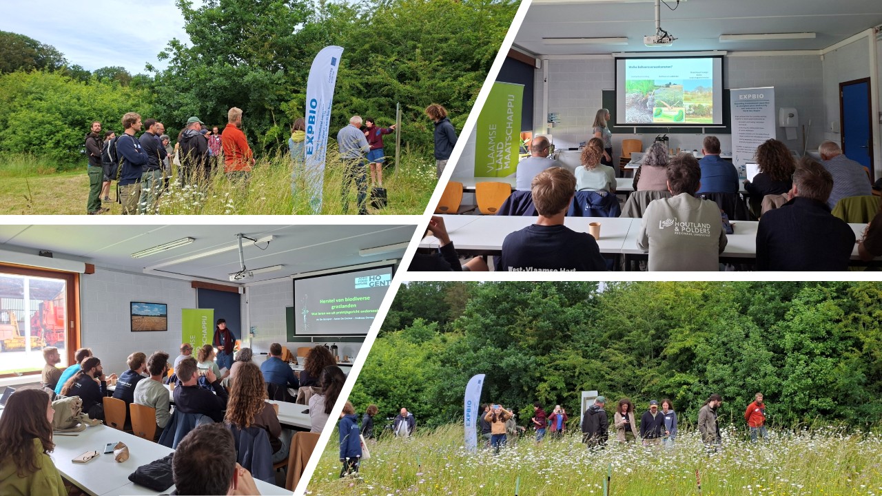 sfeerbeelden demodag 3 juni 2026 met bezoek aan project Herbiogras
