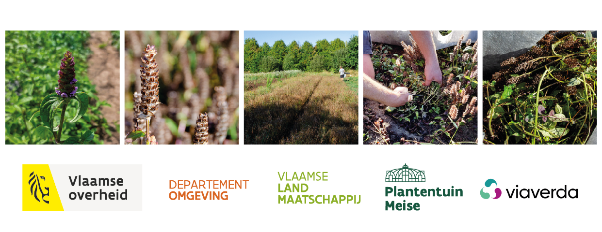 fotobanner en partnerlogos