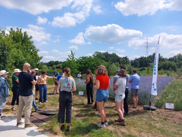 bezoekers bij demoveld