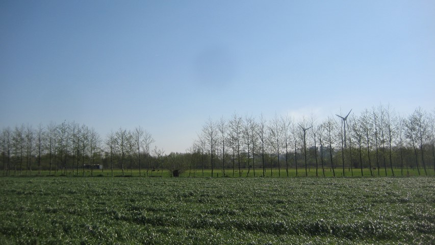 aangeplante bufferbomen bieden zichtscherm tegen windmolens haven