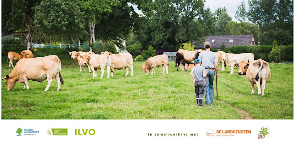 foto met man, kind en koeien 