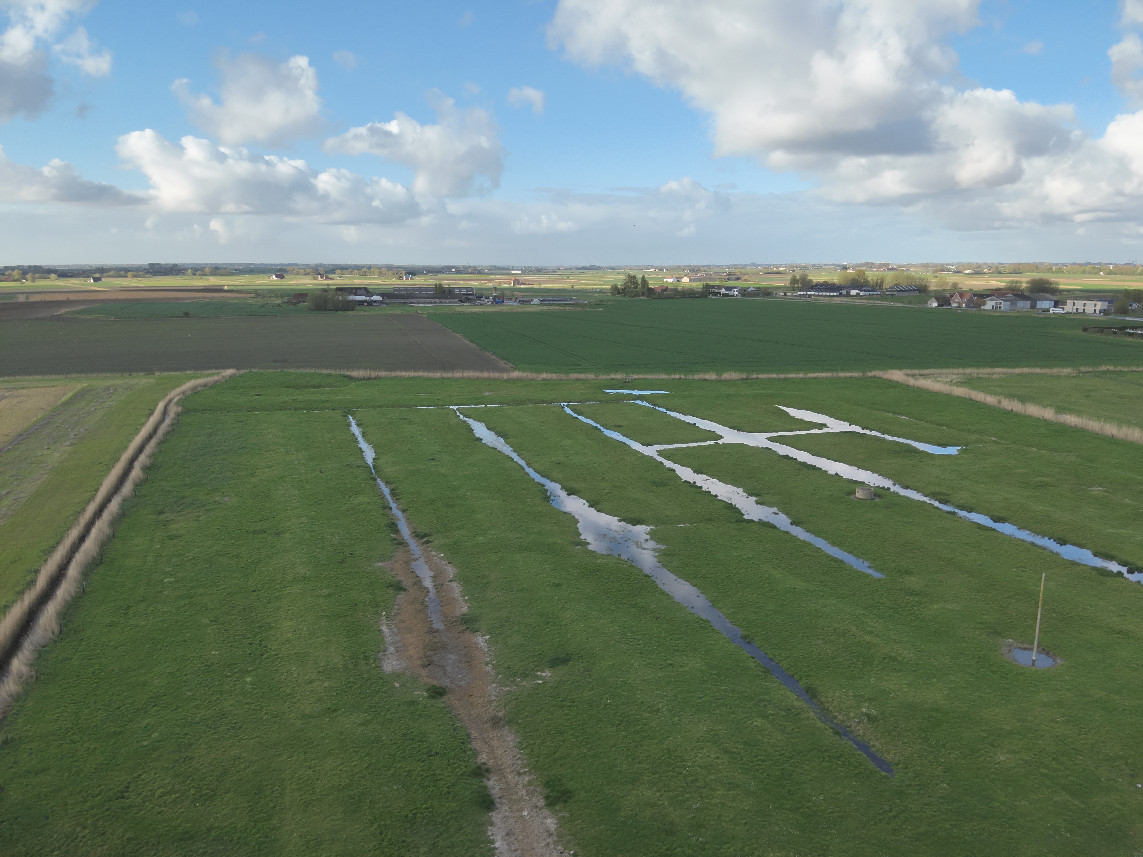 vernat perceel grasland met laantjes (c) VLM-BertDekock