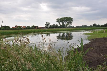 Nieuwe natuur in Damme