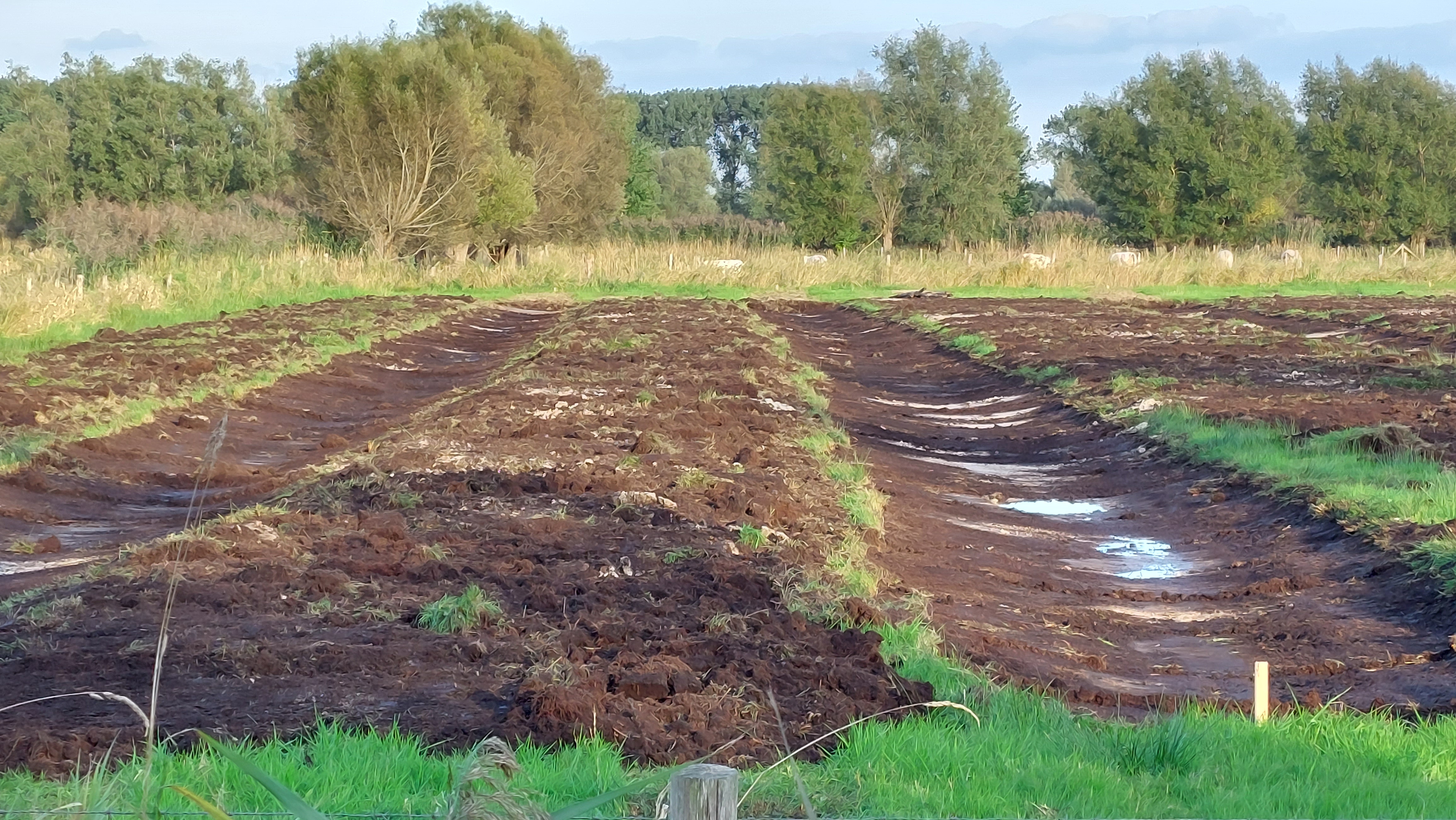 perceel met vers gegraven laantjes