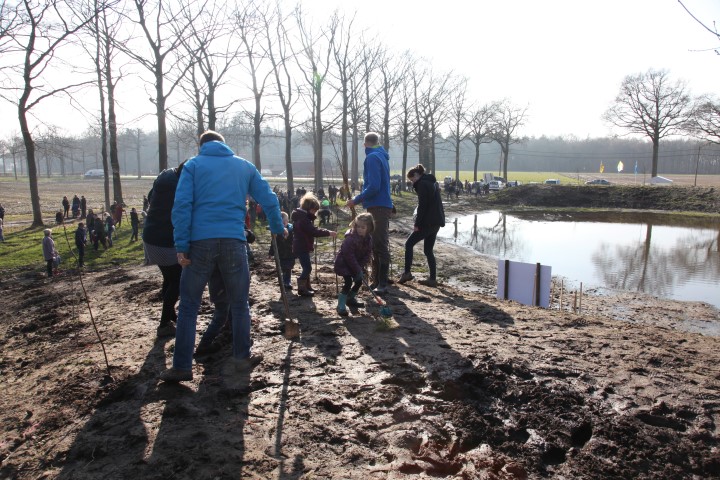 boomplantactie geboortebomen