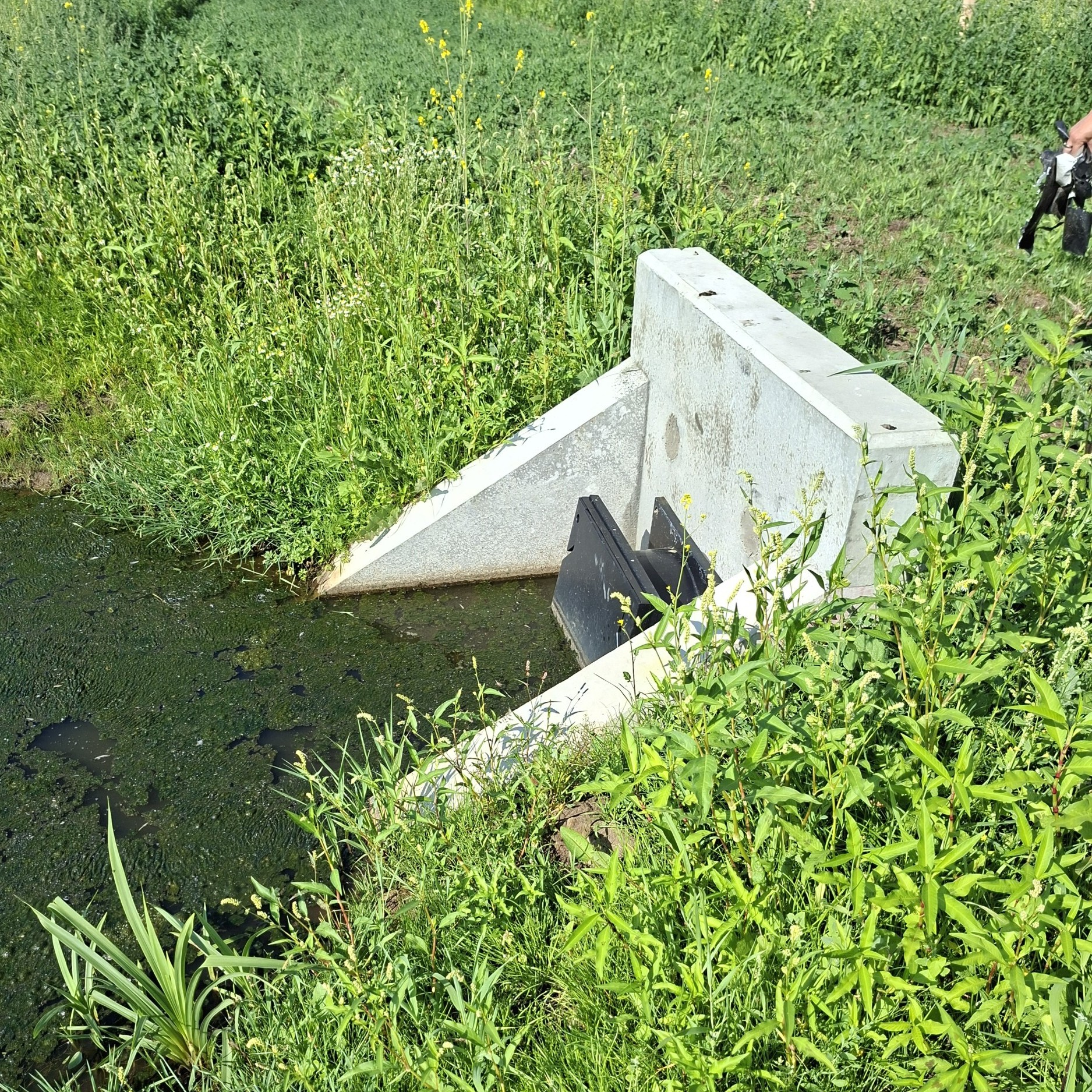 inlaat van water vanuit de Velddambeek
