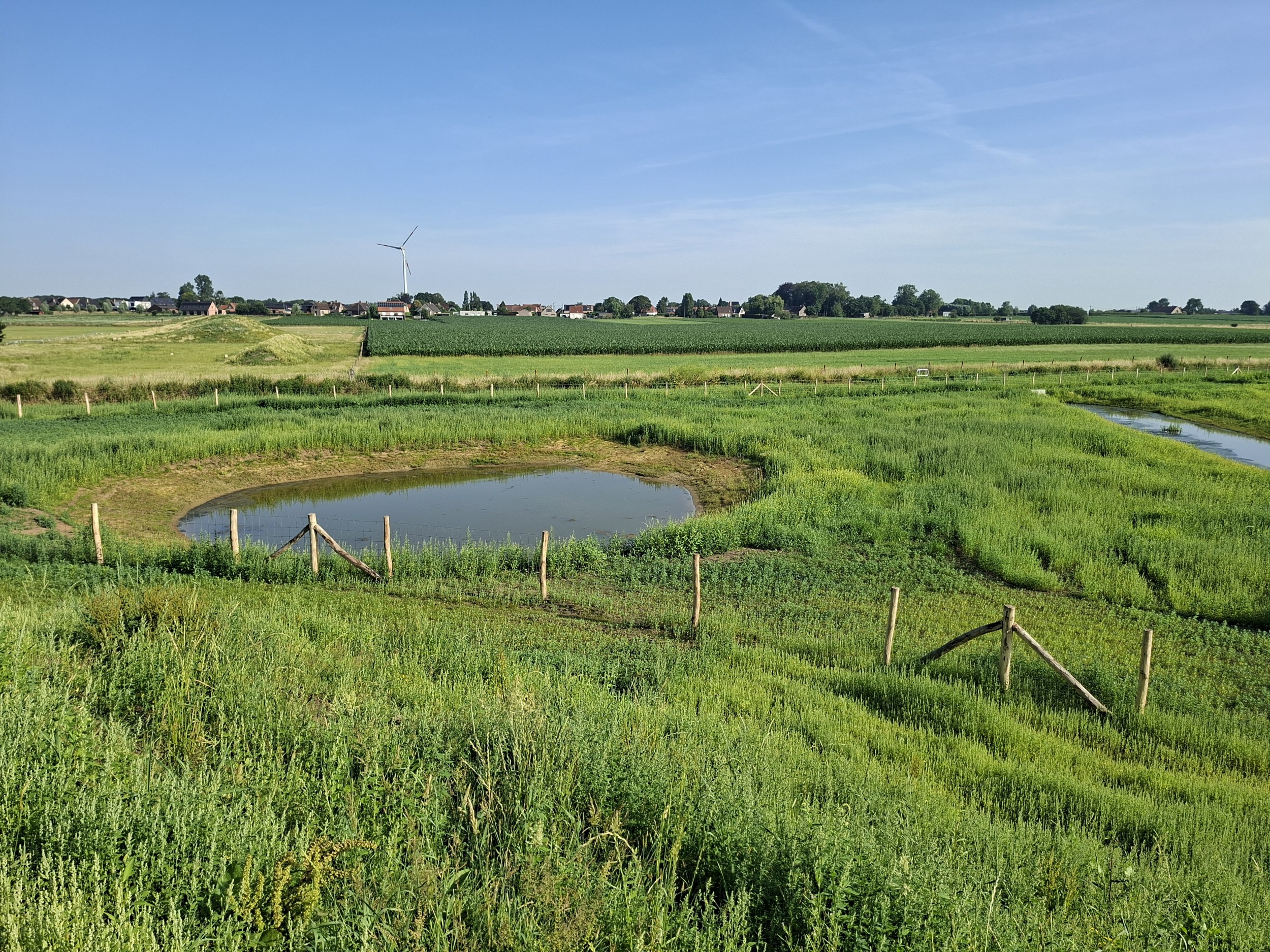 poel nabij de uitkijkheuvel