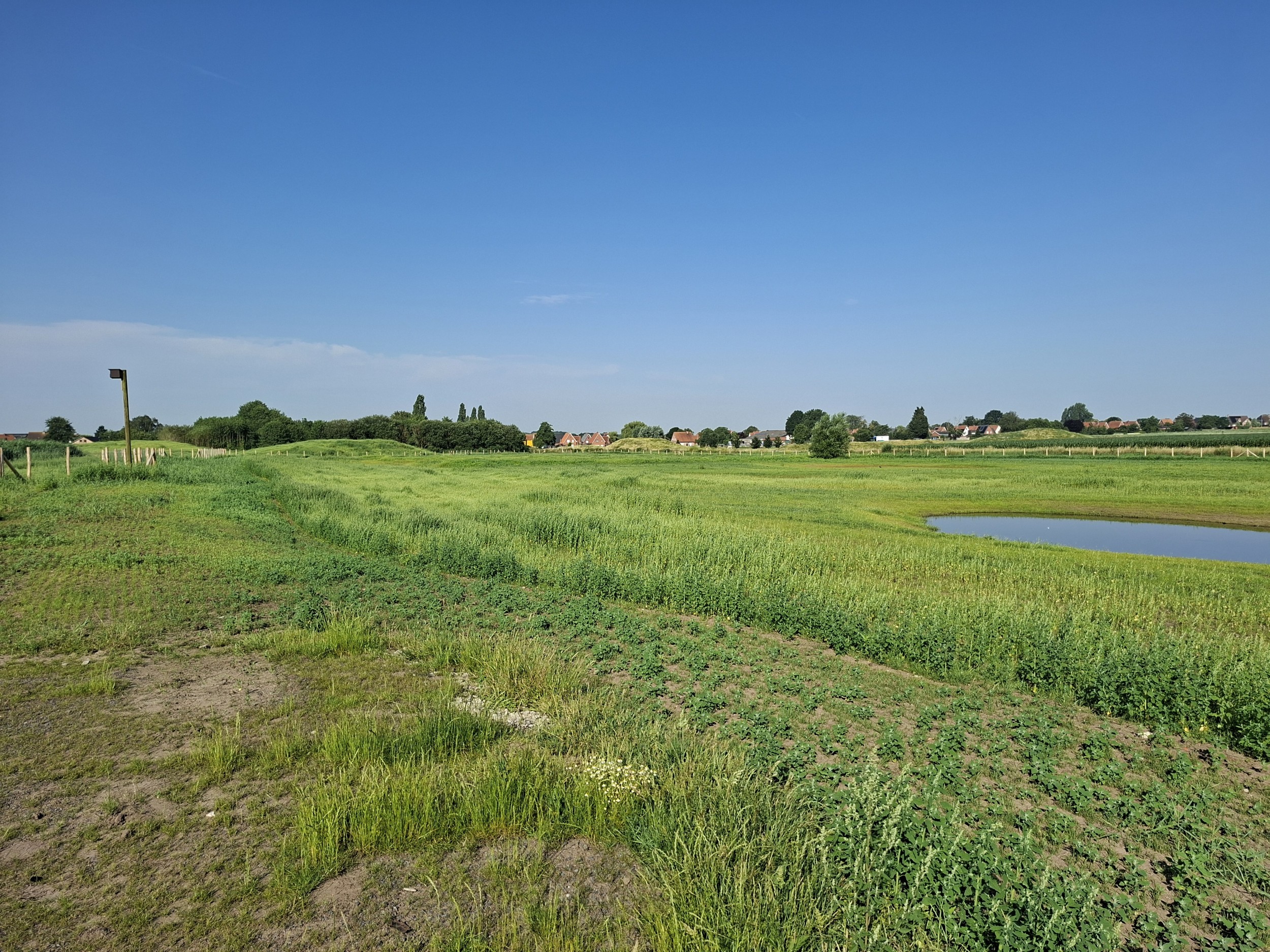 zicht vanaf halverwege weide naar waterzuiveringsstation