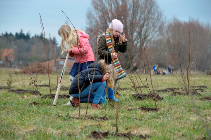 kinderen planten jonge boompjes