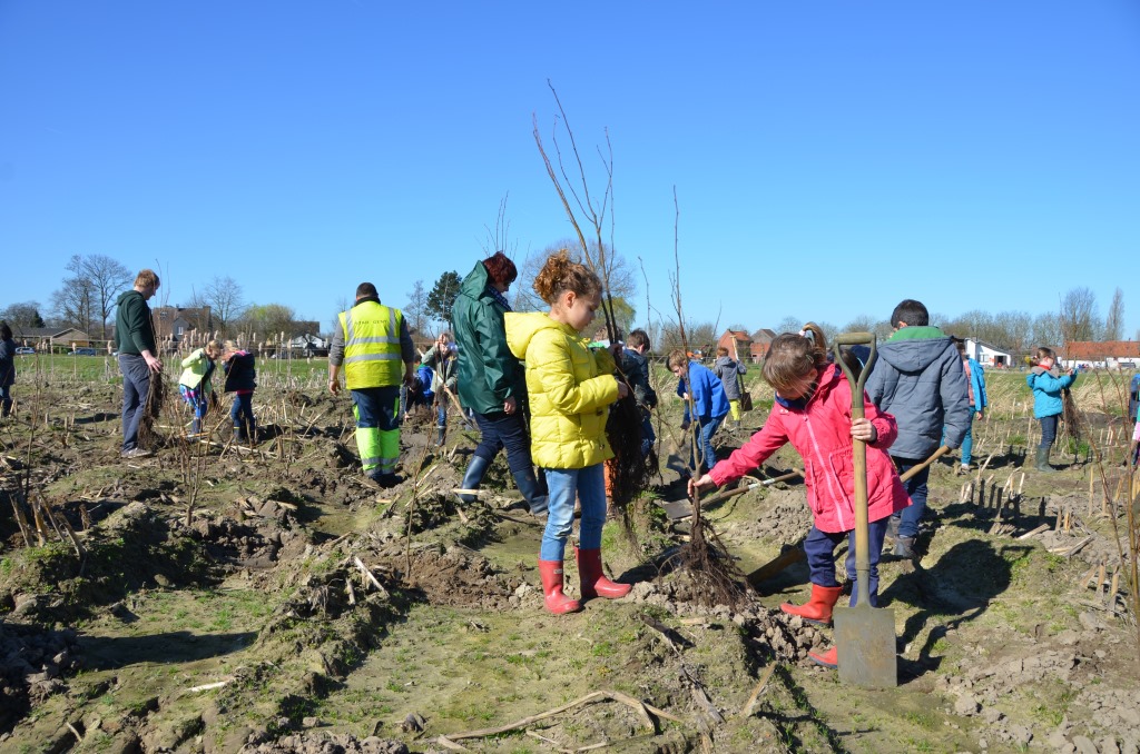 plantactie thv Heiebreestraat_voorjaar 2014