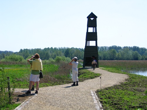 Foto toont toren in Het Vinne