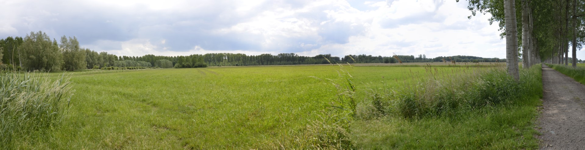 landschap Maaibos