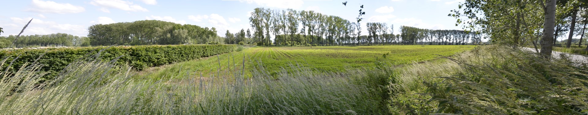 landschap Oostdonk