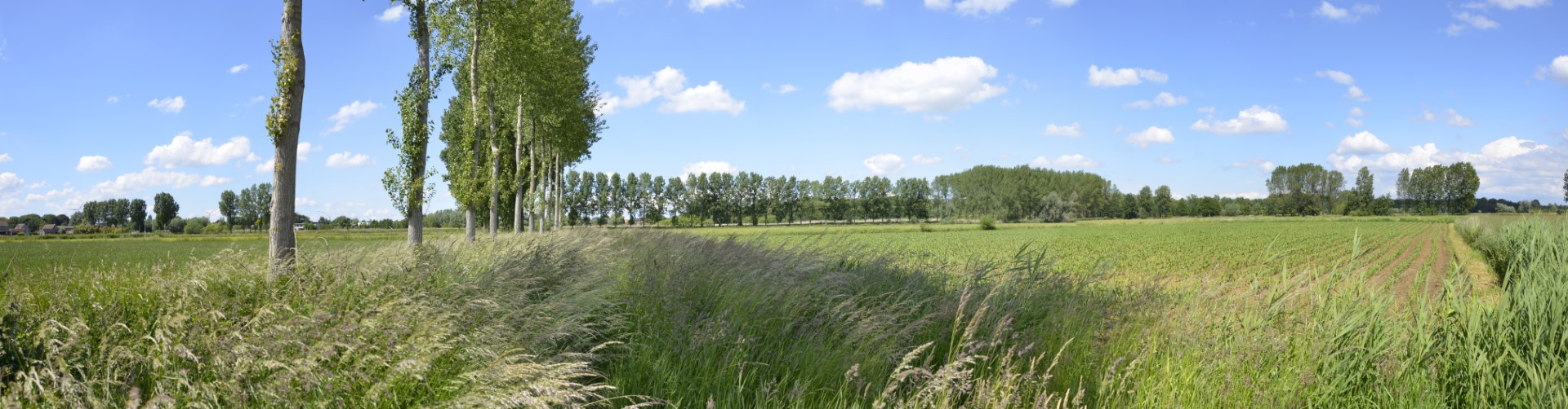 landschap Reepkens