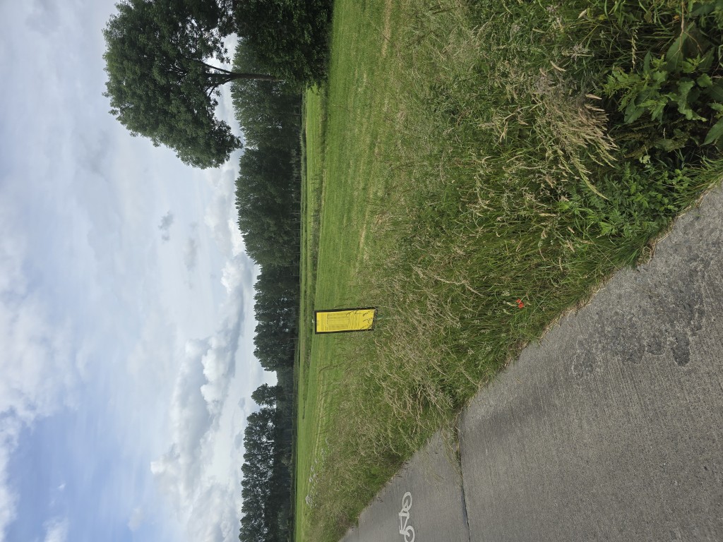 Plaatsing affiche openbaar onderzoek 3 juni