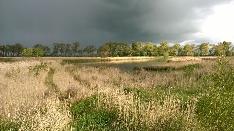 Omgeving voormalige spookbrug 5 jaar na inrichting