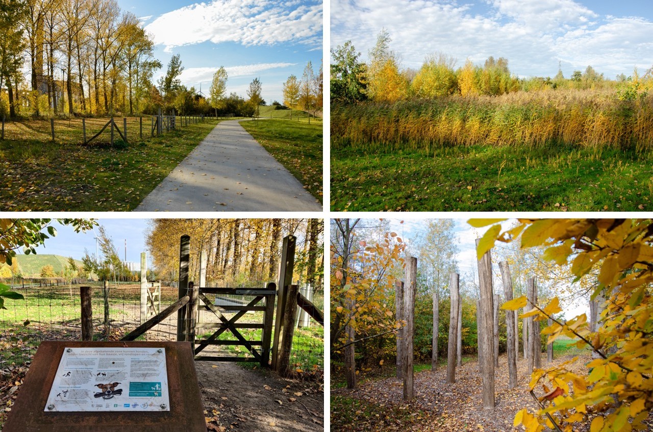 park in herfsttooi