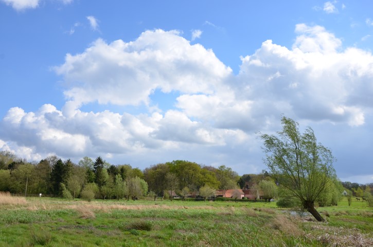 Latemse meersen - zicht op meersen