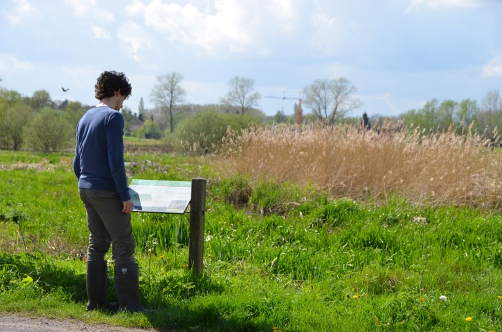 Latemse meersen - infobord meersen