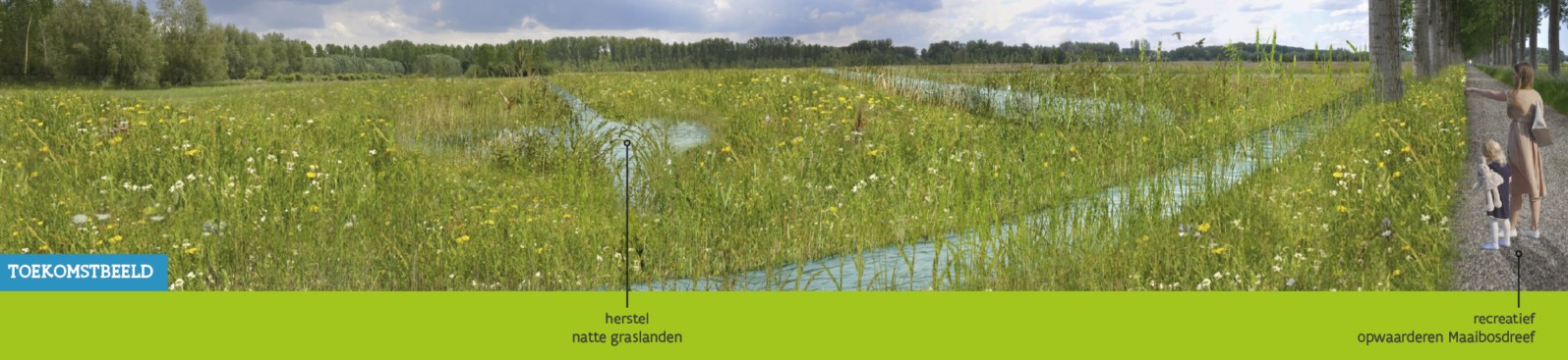 visualisatie toekomstbeeld Maaibos 