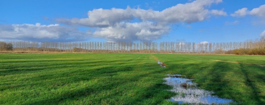 open graslandgebied Maaibos
