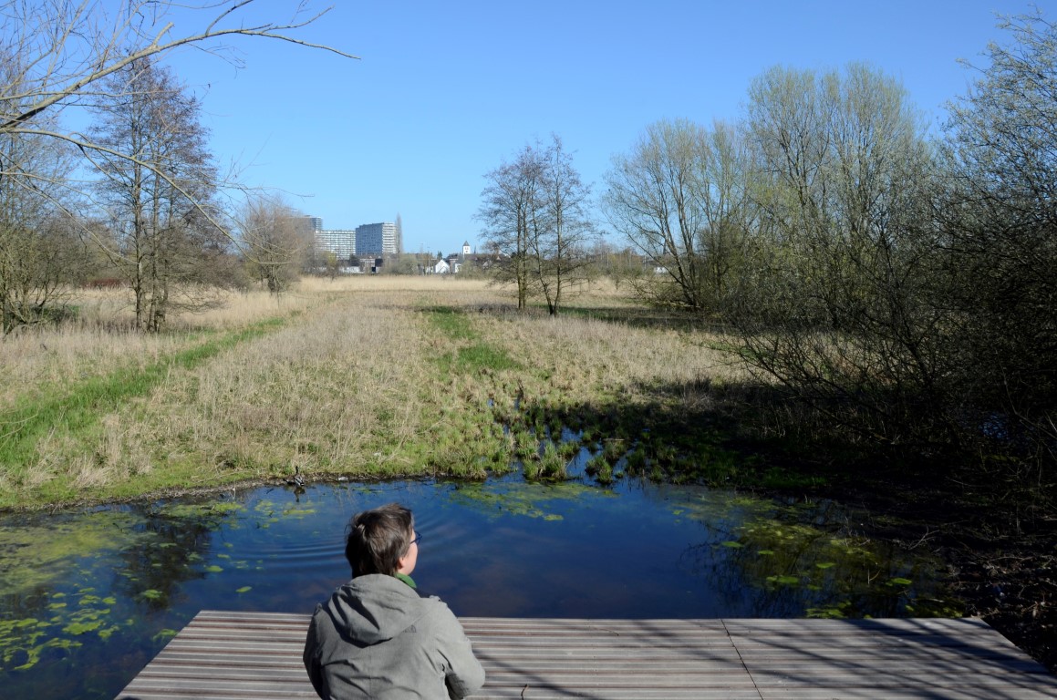 wandelaar op vlonder