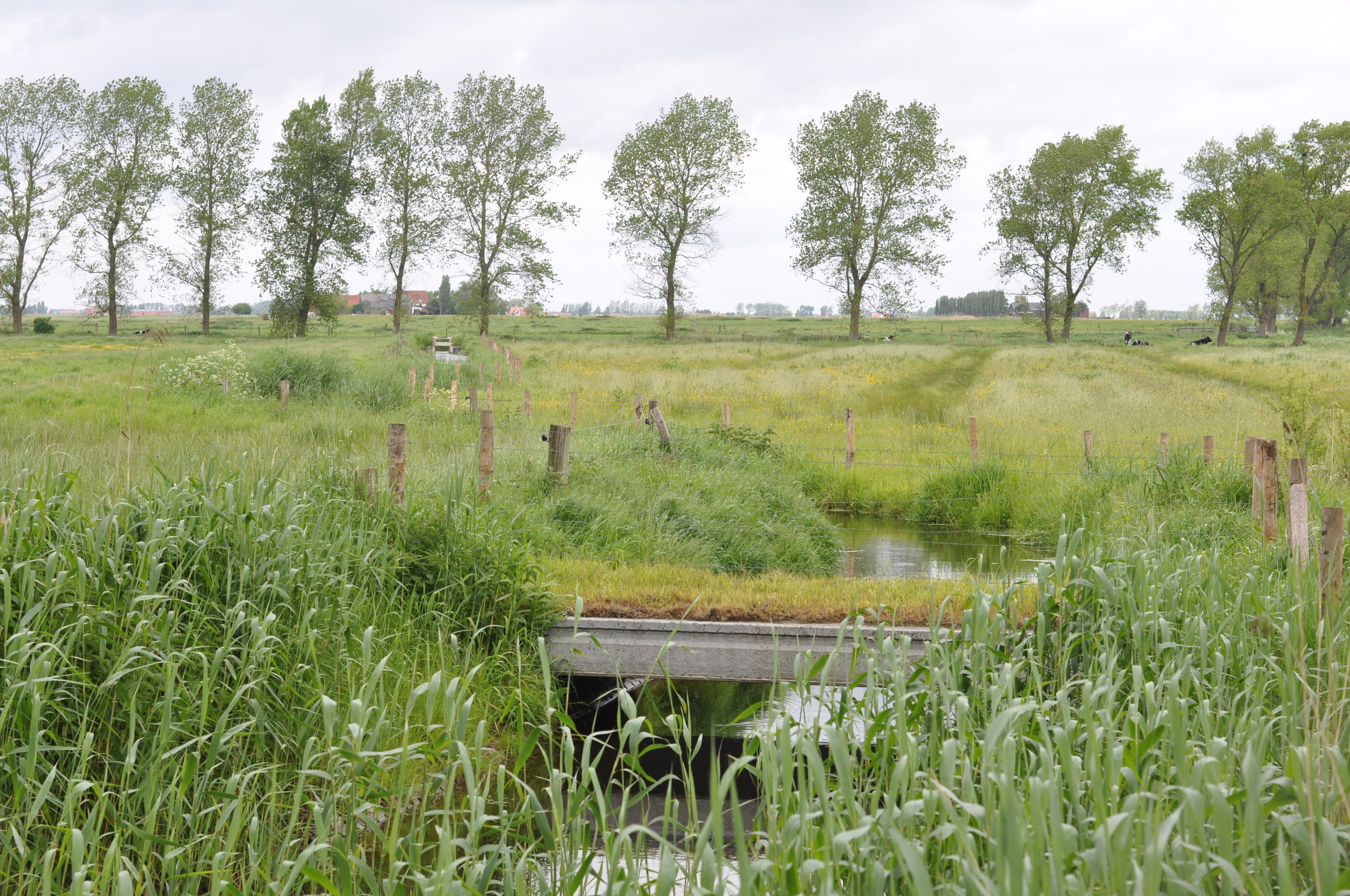 landschap de Moeren