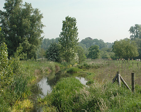 Melsenbeek