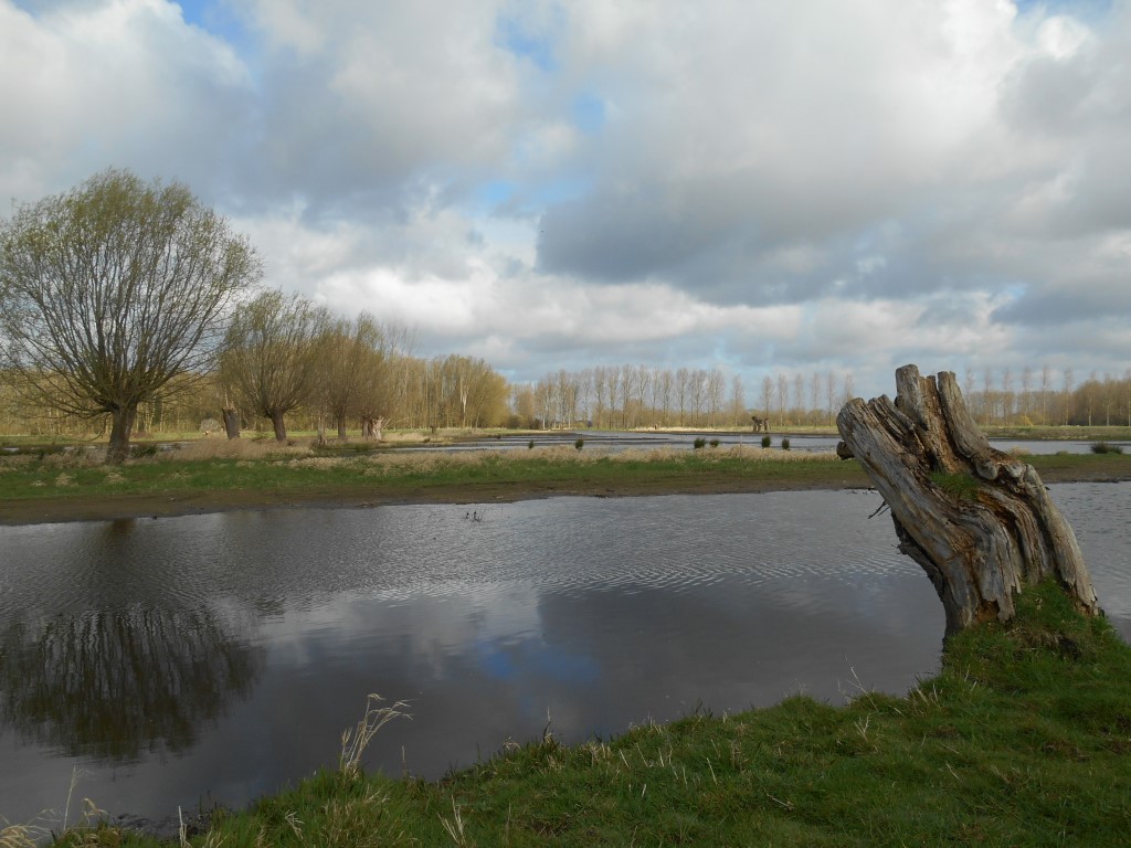 Natte percelen van Paardenweide