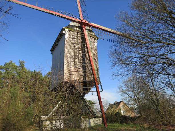 Foto toont de beddermolen bij mooi weer