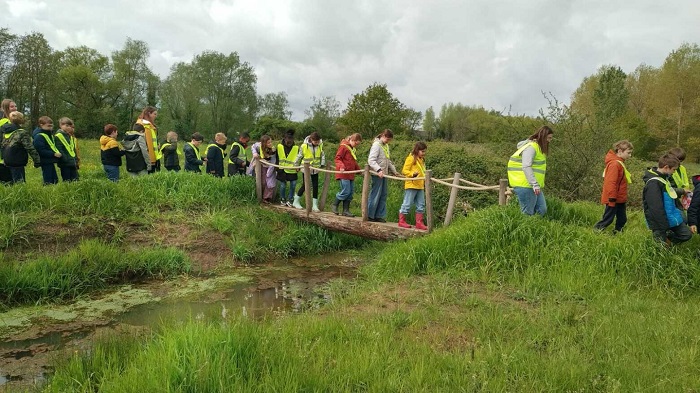 Foto toont kinderen op de boombrug