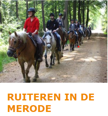 Foto toont ruiters te paard